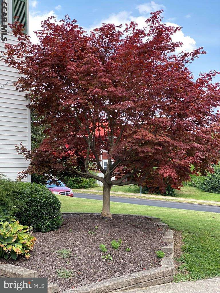 Huntingdon, PA 16652,1703 WASHINGTON ST
