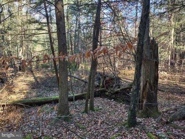 Orbisonia, PA 17243,LOT 2 BLACK LOG VALLEY ESTATES