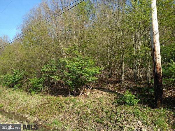 LOT OFF PANCAKE ROAD RD, Clarence, PA 16829