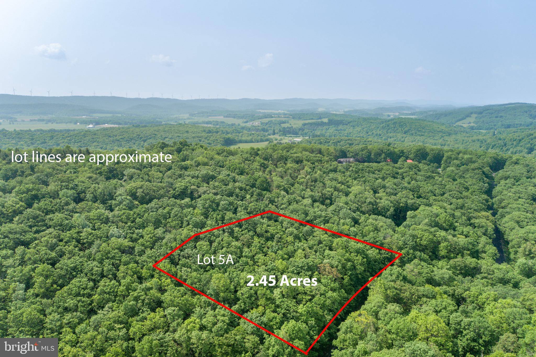 Oakland, MD 21550,LOT 5A VALLEY ROAD