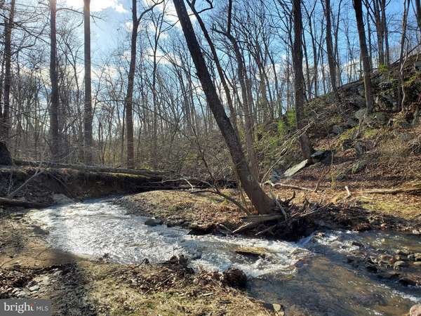 BENCH LN-12 BENCH LN, Bluemont, VA 20135