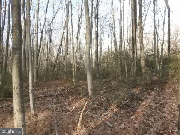 LOT#153 CHIPMUNK TRL, White Haven, PA 18661