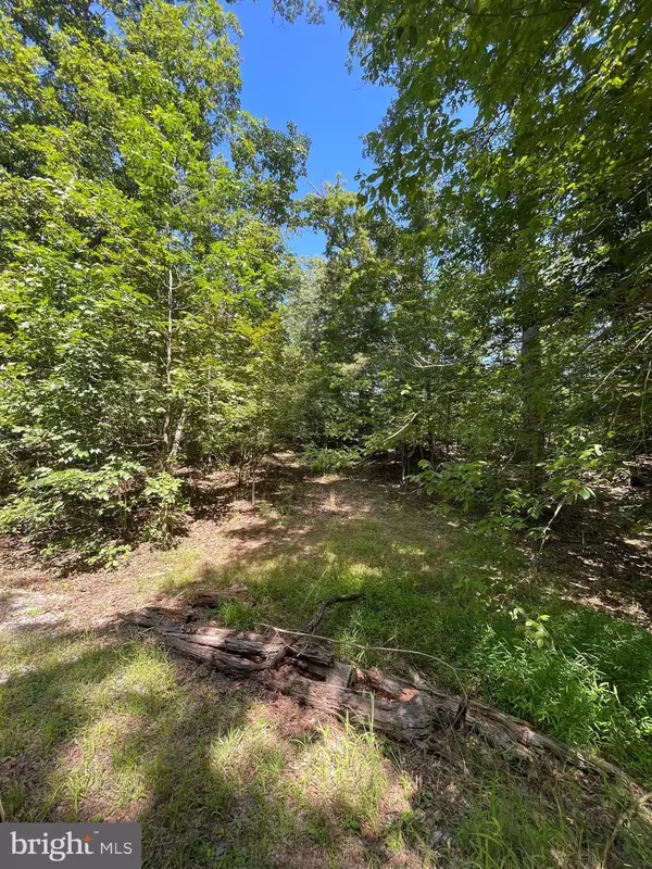 Bunker Hill, WV 25413,SILKWOOD DRIVE