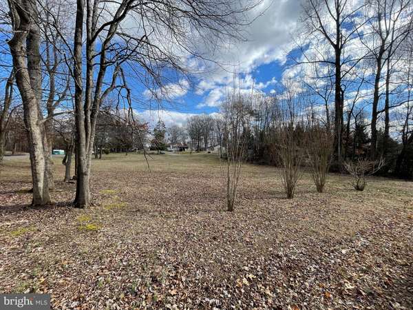 LOT 977 & 978 PINE RD, Louisa, VA 23093