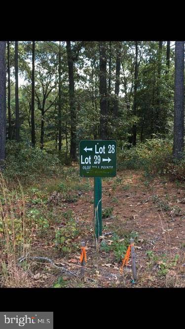 New Church, VA 23415,LOT 28 OLDE MILL LN