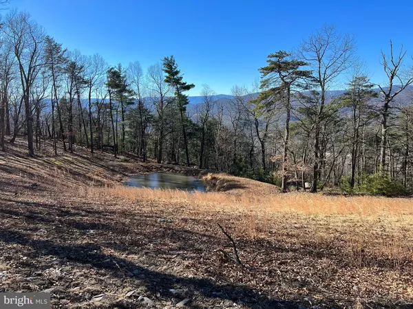 Fulks Run, VA 22830,12112 ROCKY RIDGE LN