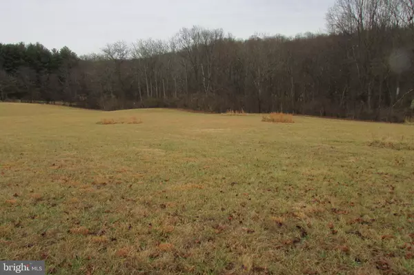 Mount Airy, MD 21771,LOT 2A FLAG MARSH RD