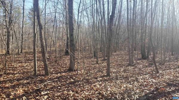 LOT 9 MOUNTAIN CREEK RD #9, Green Bay, VA 23942