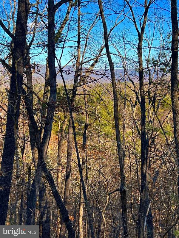 LOT 147 VALLEY VIEW, Basye, VA 22810