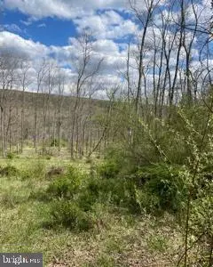 Wardensville, WV 26851,LOT 18 WARDEN LAKE