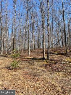 LOT 35 TROUT PASS, Mathias, WV 26812