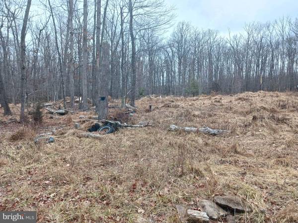 LOT 17 CAPON WOODS RESORT RD, Yellow Spring, WV 26865