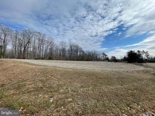 Orange, VA 22960,LOT 29A DAYS BRIDGE RD