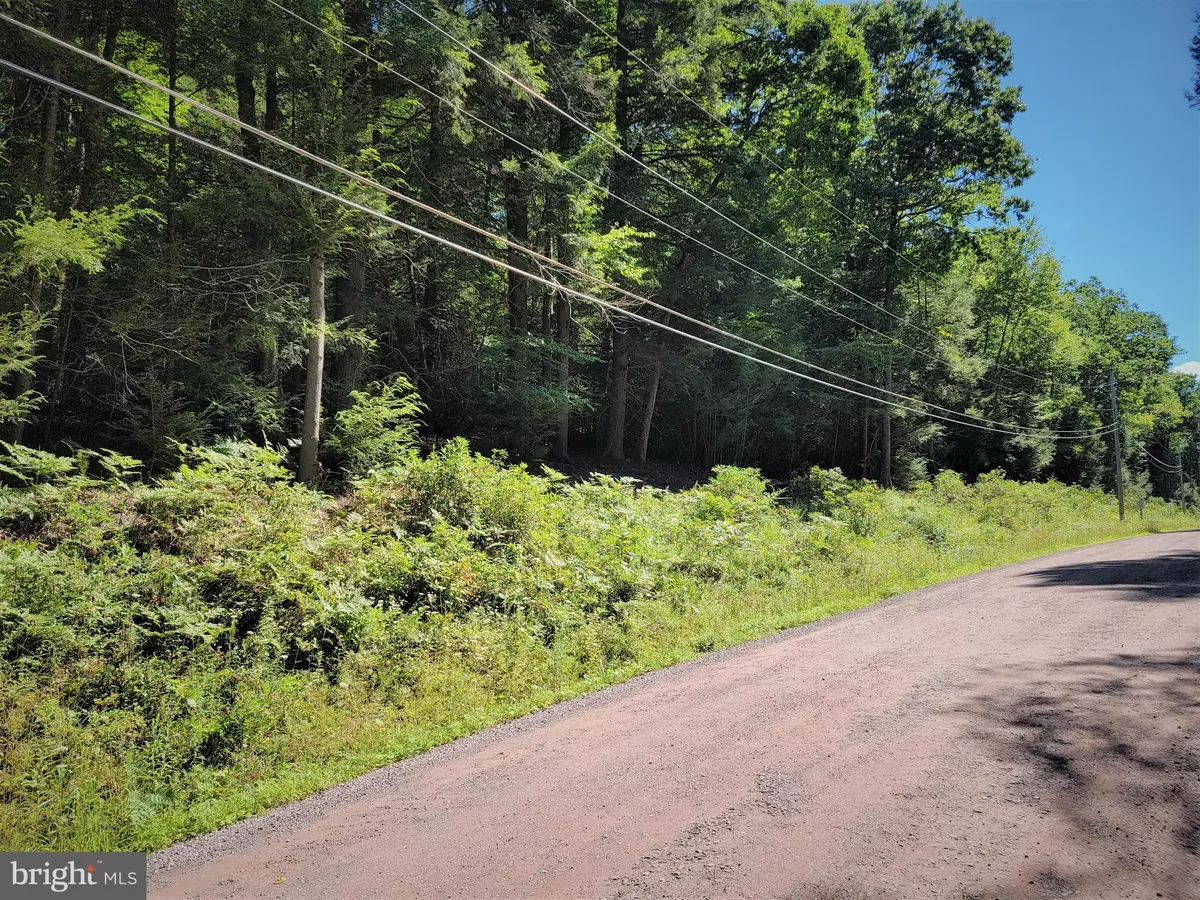 Grantsville, MD 21536,LOT 47 HEMLOCK RD/PARCEL 83