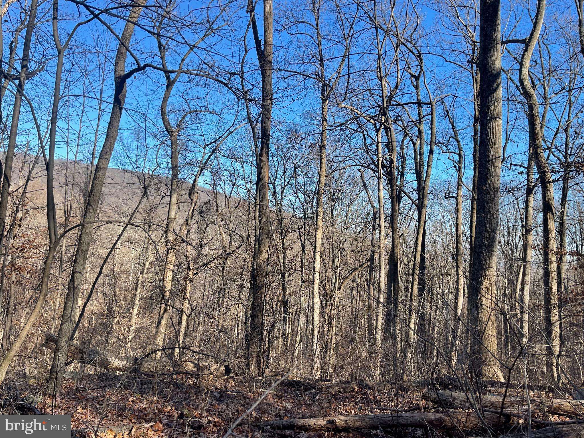 OLD MOUNT WEATHER RD, Bluemont, VA 20135
