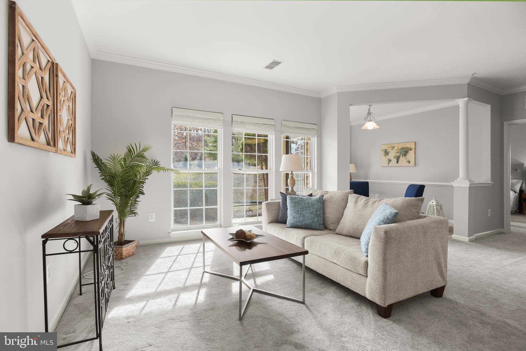 Ellicott City, MD 21043,8155 CYPRUS CEDAR LN #C