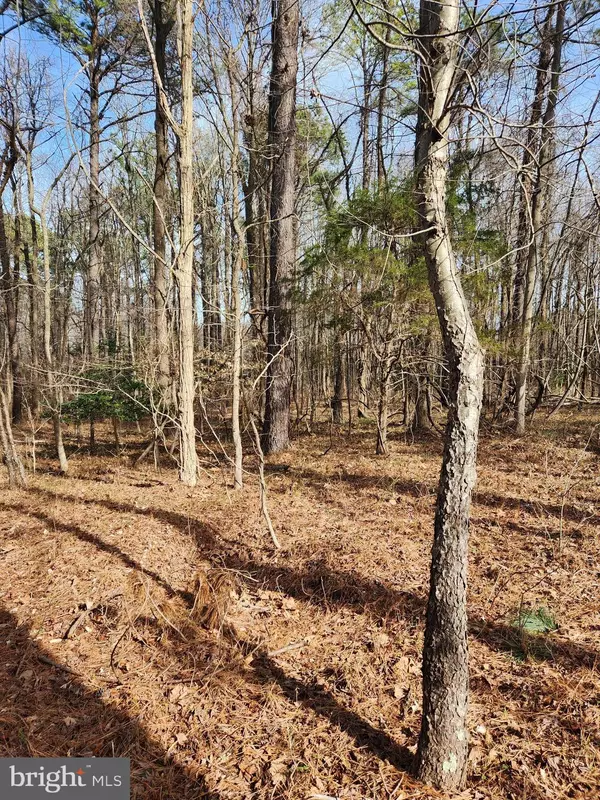 Montross, VA 22520,LOT 69 PLANTATION