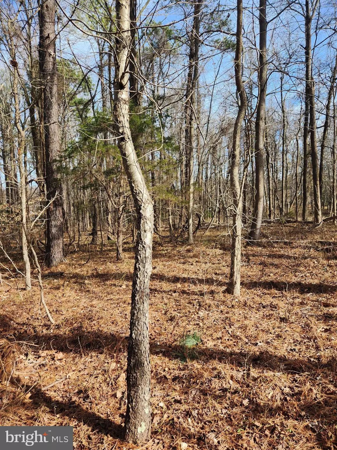 Montross, VA 22520,LOT 69 PLANTATION