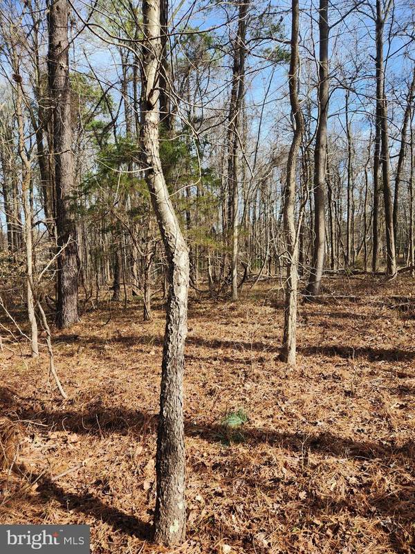 LOT 69 PLANTATION, Montross, VA 22520