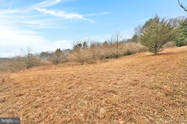 New Ringgold, PA 17960,0 BEECH HOLLOW RD