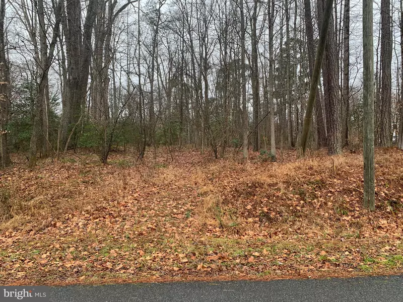 TBD-LOT 523 NORTH ANNA DRIVE, Ruther Glen, VA 22546