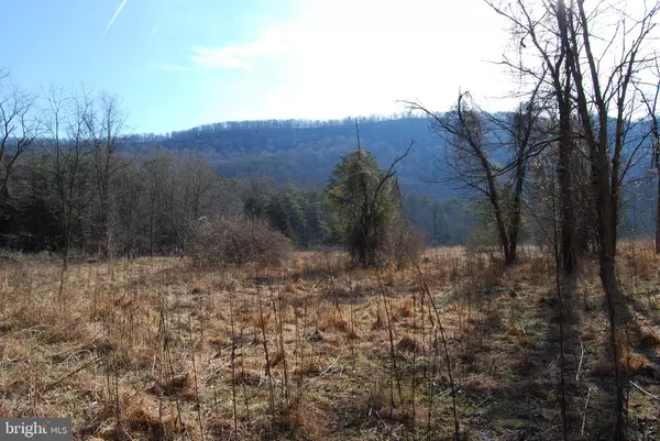 Hedgesville, WV 25427,LOT 23 ELNINA DRIVE