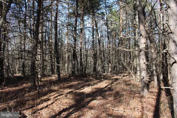 Moorefield, WV 26836,LOT 317 WINTERBERRY DR