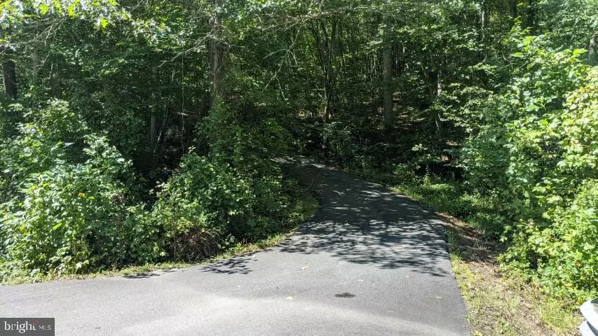 WEAVER HOLLOW RD, Madison, VA 22727