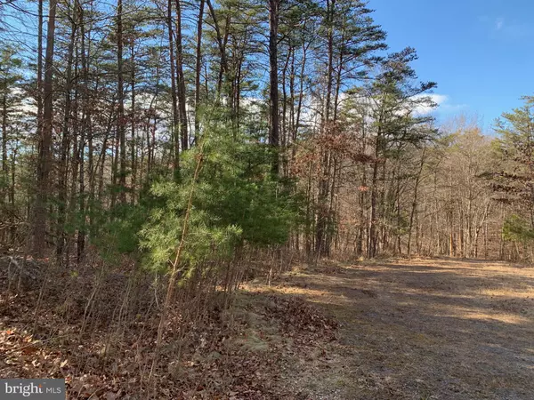 Cross Junction, VA 22625,LOT 5, TRILLIUM LANE