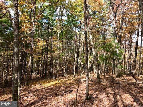 MOYERS GAP ROAD (STUFFLE RUN), Sugar Grove, WV 26815