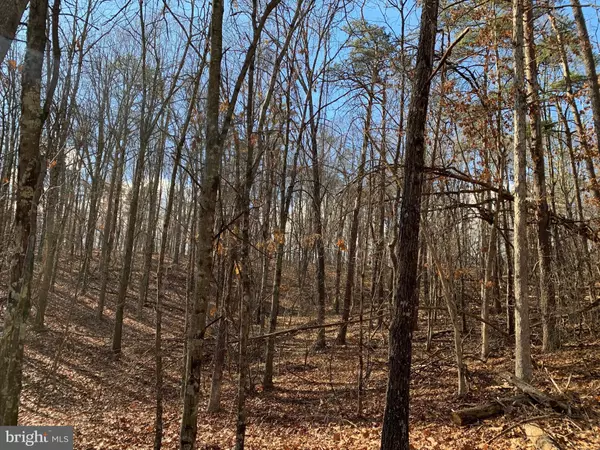 Cross Junction, VA 22625,TRILLIUM LANE, LOT 6