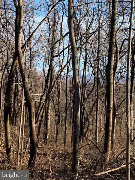QUANN LANE, Chester Gap, VA 22623