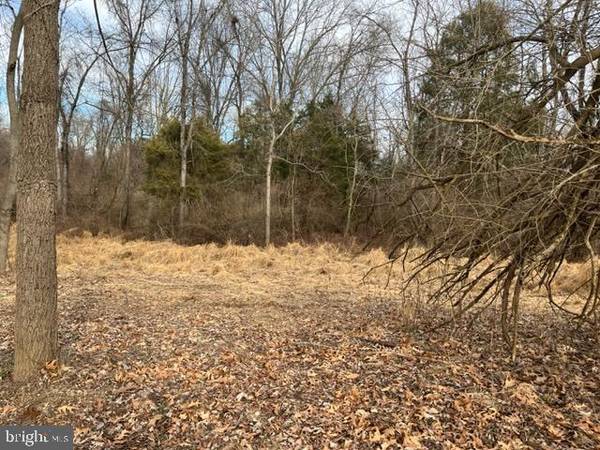 LOT 1 BILLMYER MILL ROAD, Shepherdstown, WV 25443