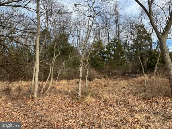 LOT 2 BILLMYER MILL ROAD, Shepherdstown, WV 25443