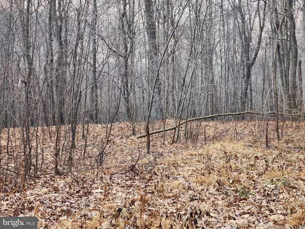 LOT 251 MOUNTAIN TOP TRAIL, Harpers Ferry, WV 25425