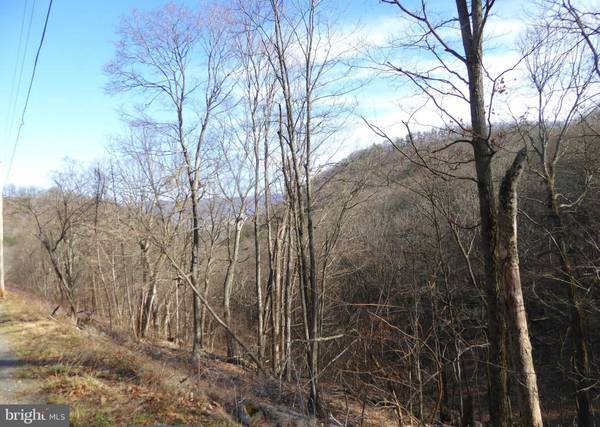 LOT 4 HIGHLAND SPRINGS RD, Old Fields, WV 26845