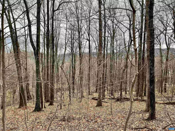 226 HOODED WARBLER LN, Nellysford, VA 22958