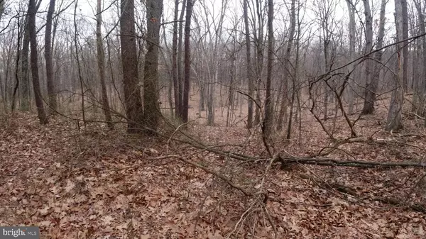 Delray, WV 26714,LOT 51 FAR MEADOWS RD