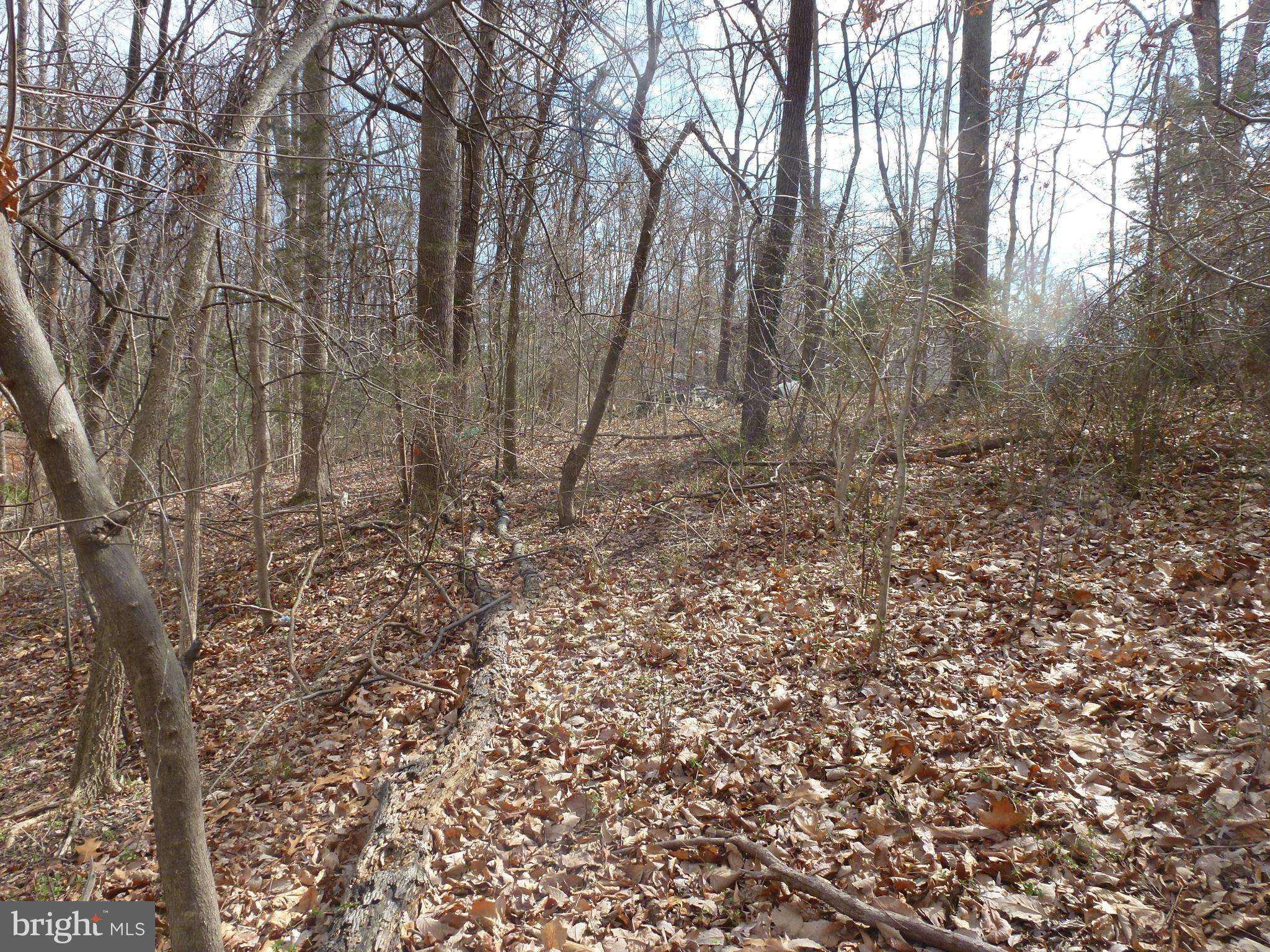 Stafford, VA 22554,63 ESKIMO HILL RD