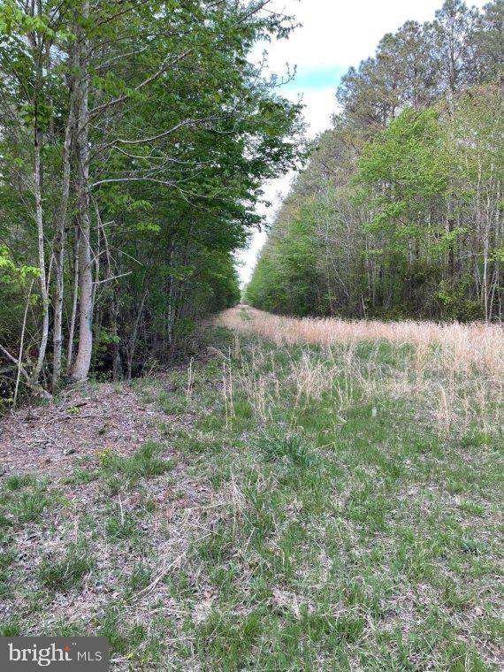 Princess Anne, MD 21853,0 FOLLOW DITCH ROAD