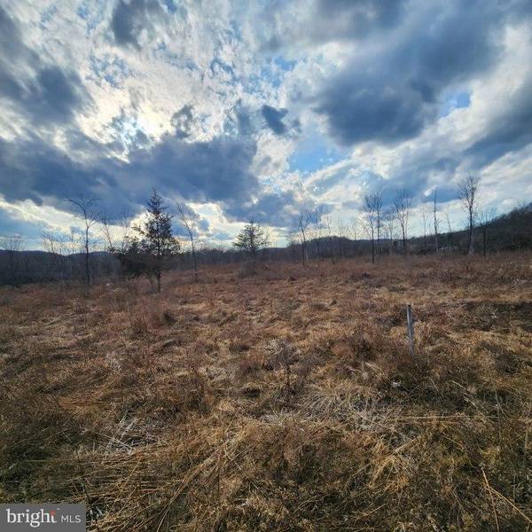 Howard, PA 16841,0 W DOWDY HOLE RD #LOT 1