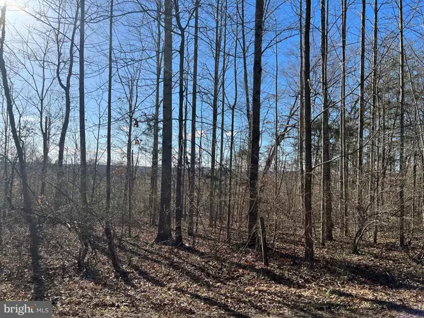 Orange, VA 22960,LOT 55A-D ELLISVILLE RD