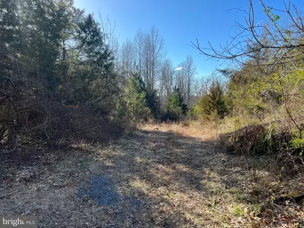 Orange, VA 22960,LOT 55A-D ELLISVILLE RD