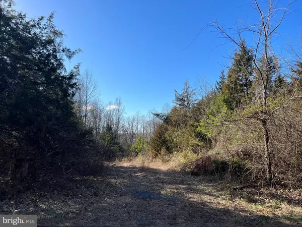 LOT 55A-D ELLISVILLE RD, Orange, VA 22960