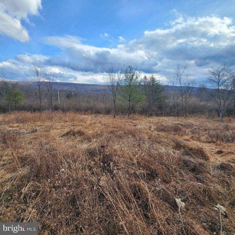 Howard, PA 16841,0 W DOWDY HOLE, LOT 2 RD