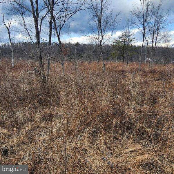 Howard, PA 16841,0 W DOWDY HOLE, LOT 2 RD