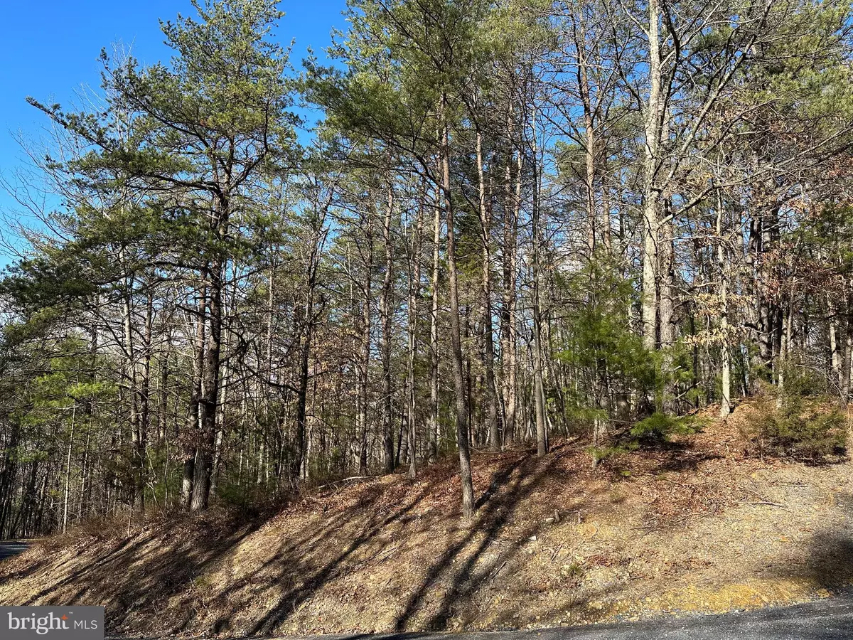 Mount Jackson, VA 22842,LOT 222 BEAVER RD