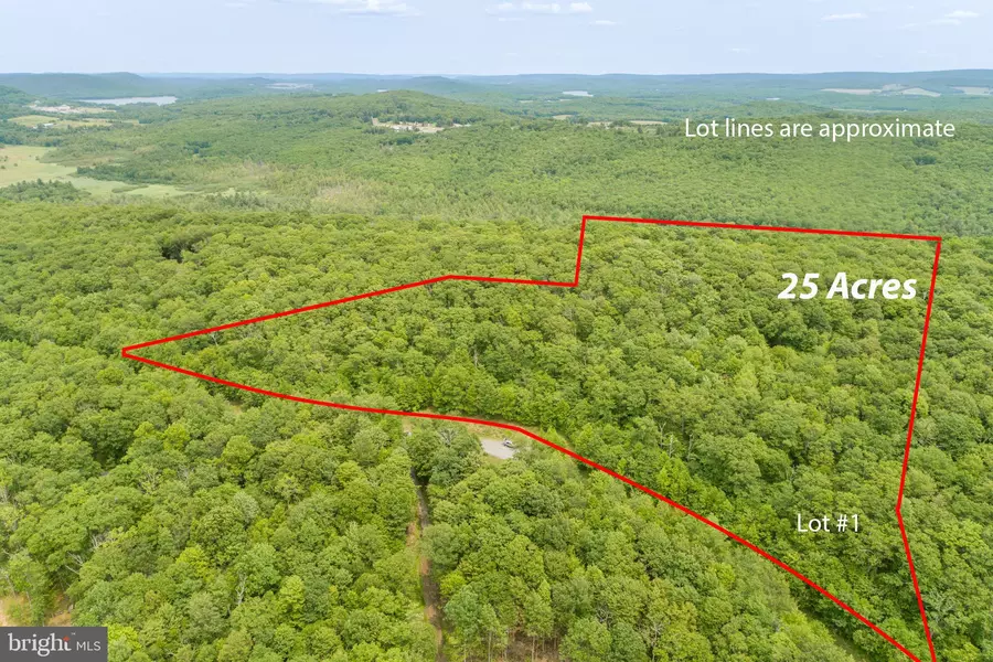 LOT 1 BETTS LN, Oakland, MD 21550