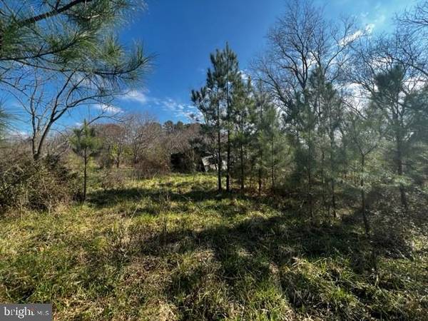 5513 GALESTOWN NEWHART MILL RD, Galestown, MD 21659