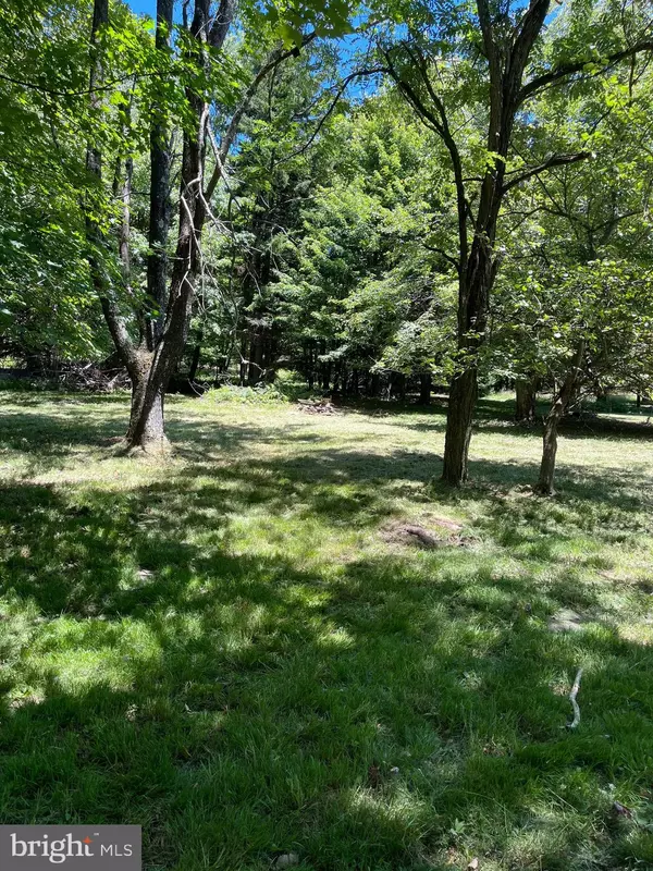 Mount Storm, WV 26739,LOT 17 LAKE RIDGE HEIGHTS